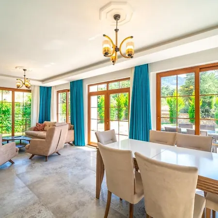 Villa Mavi Villa-1 *